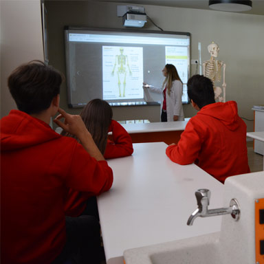 Vivamus in lorem nisl